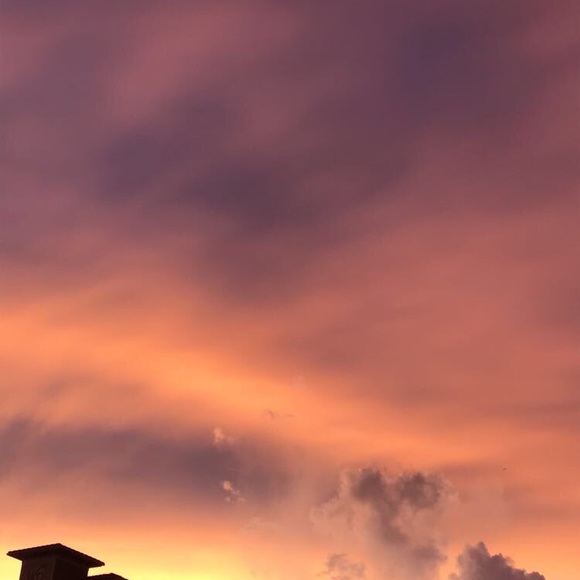 Meet your Posher, Mattie - Picture 1 of 1